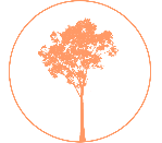 Rivergum Technology